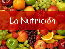 nutricion